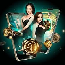 77kkbet